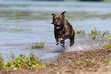 STAFFIE 171